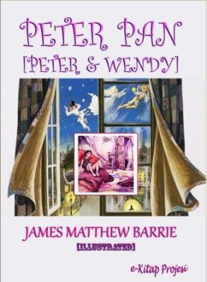 peter and wendy book